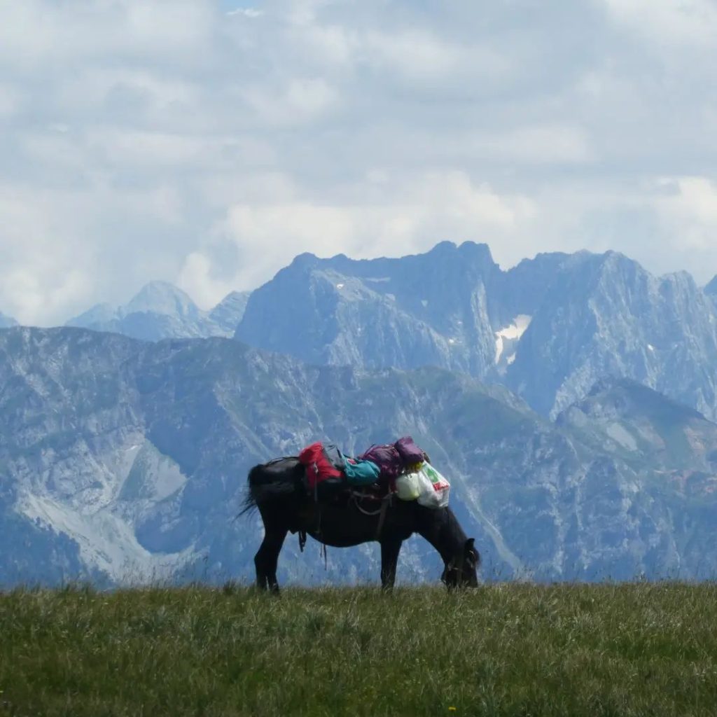 Vermosh Albania